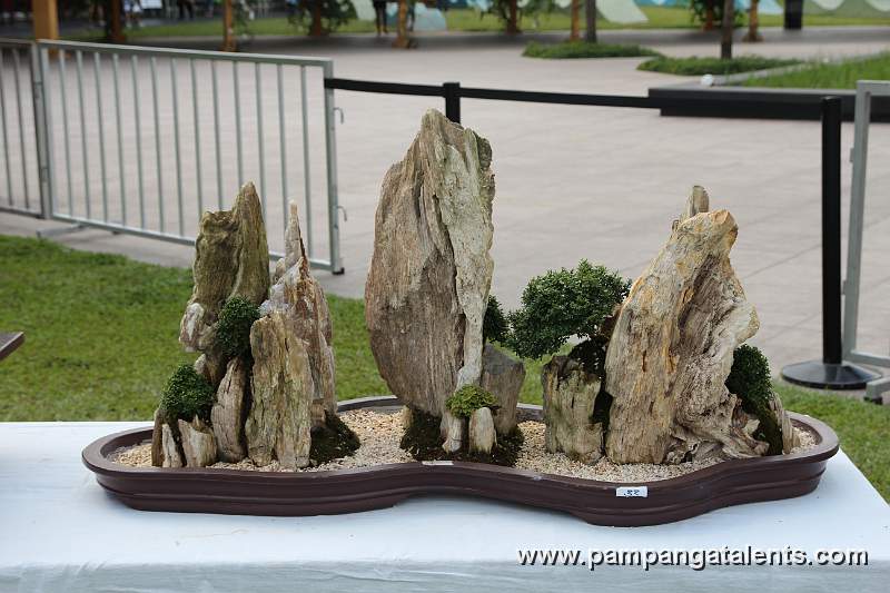 Penjing / Landscape Bonsai