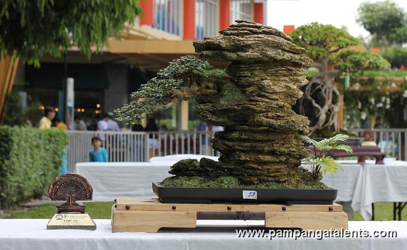 Penjing / Landscape Bonsai