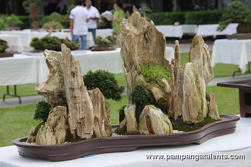 Penjing / Landscape Bonsai