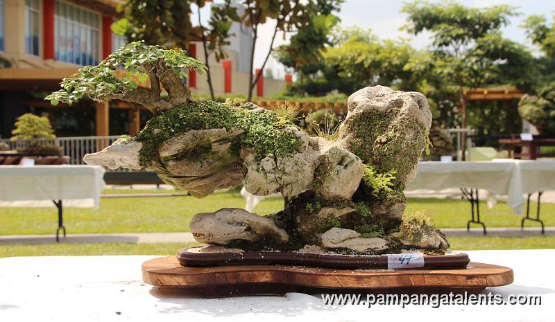 Penjing / Landscape Bonsai