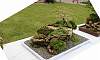 Penjing / Landscape Bonsai