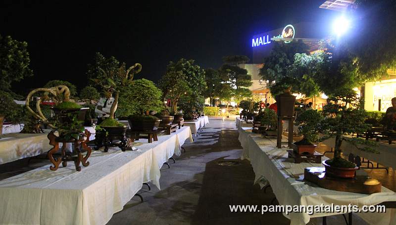Gallary of Tropical Philippines Bonsai