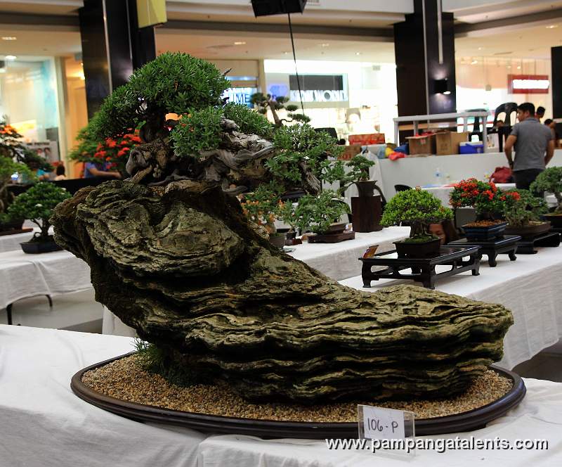 Penjing - Bantigue Bonsai