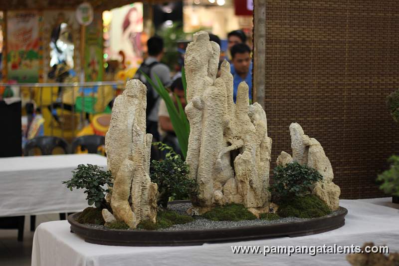 Penjing - Kamuning Bilog Bonsai