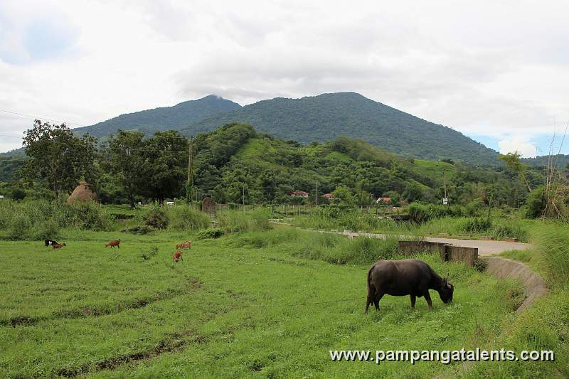 Mount Arayat view in Ayarat