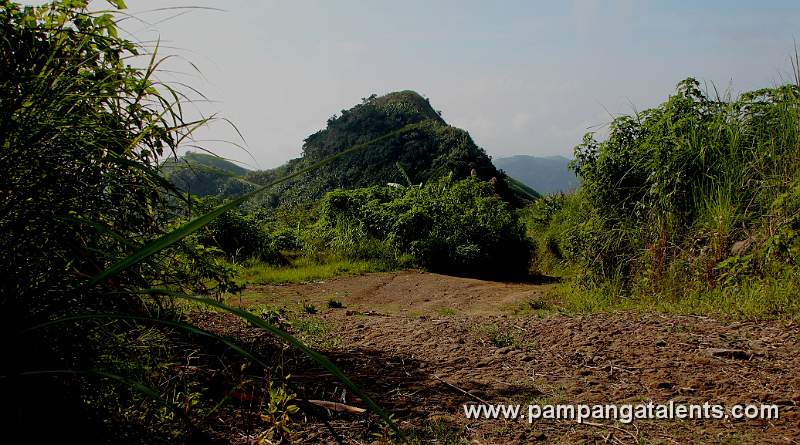 The Sapang UWAK Rd with Mount Negro in Background.