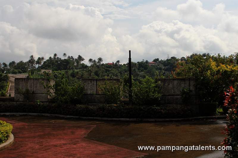 Garden Plants inside Wonderland in  Batangas