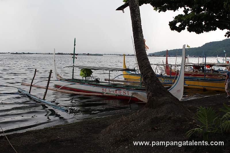 Commercial Boats