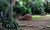 Garden of Gethsemane at St. John the Baptist Parish  Location: Calamba Laguna - Philippines