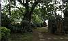 Garden of Gethsemane at St. John the Baptist Parish  Location: Calamba Laguna - Philippines