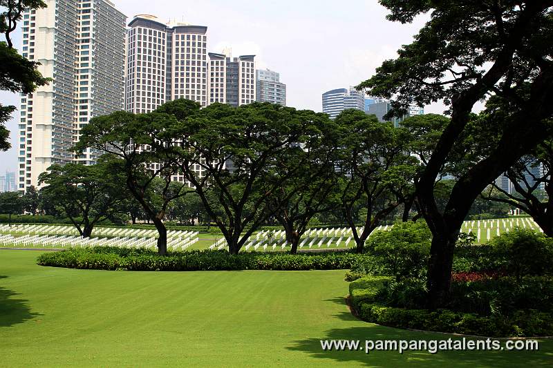Acacia Trees and shrubbed landscape with grave plots in background.