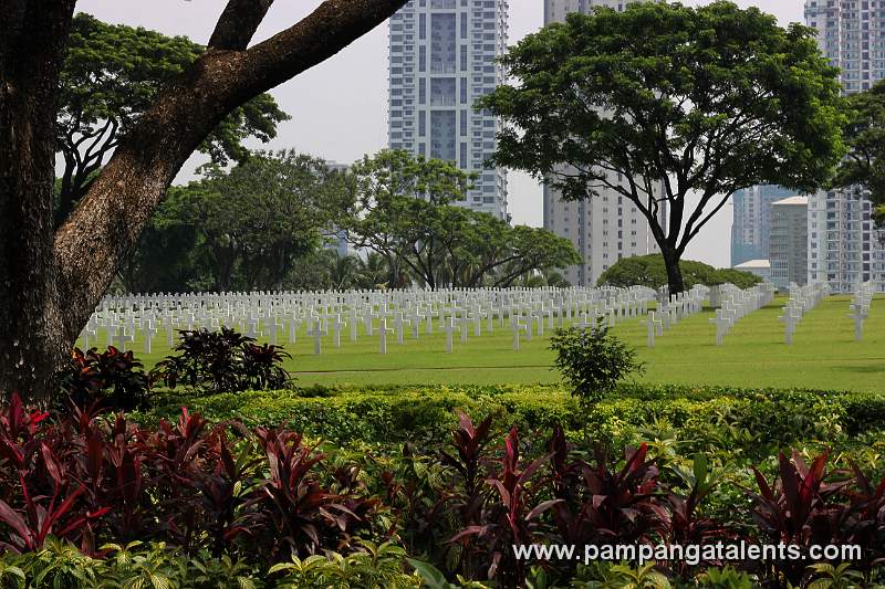 Shrubs and tropical trees with grave area in background