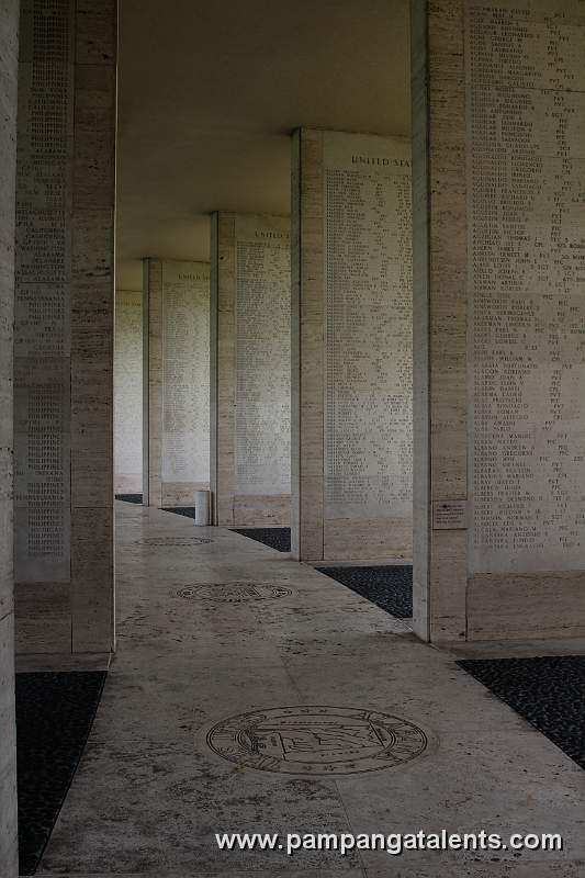 Interior of the hemicycle with the carved Seals of American States on the Floor.