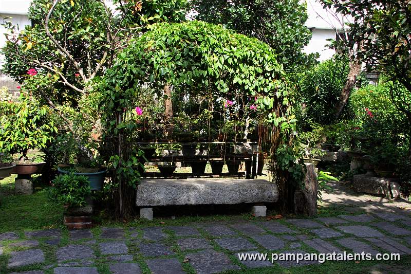 Bonsai display in Baluarte de San Diego
