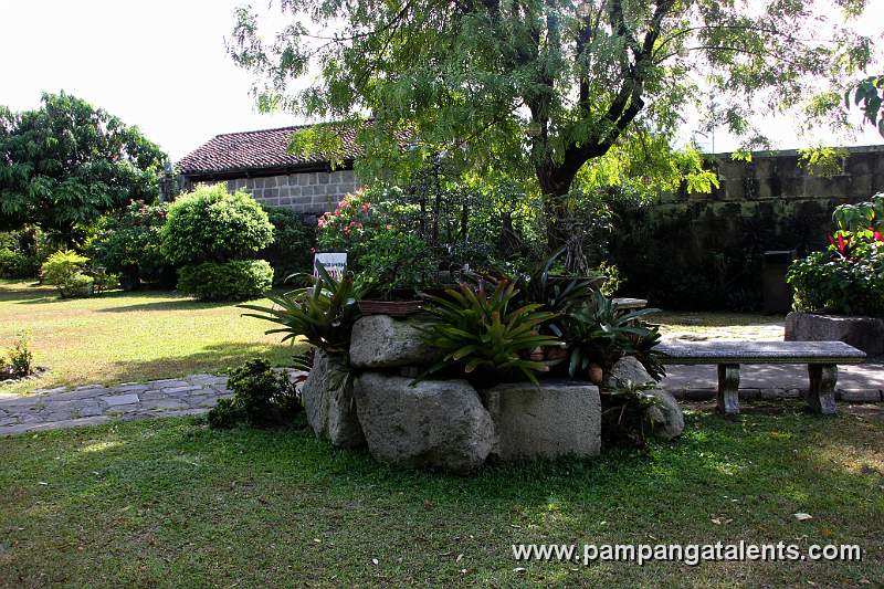 Bonsai display in Baluarte de San Diego