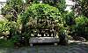 Bonsai display in Baluarte de San Diego  Location: Intramuros - Manila Philippines