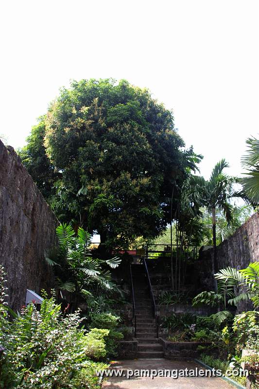 Stairs Plaza Armas