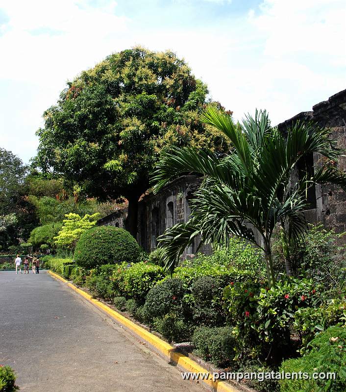 Plaza Armas