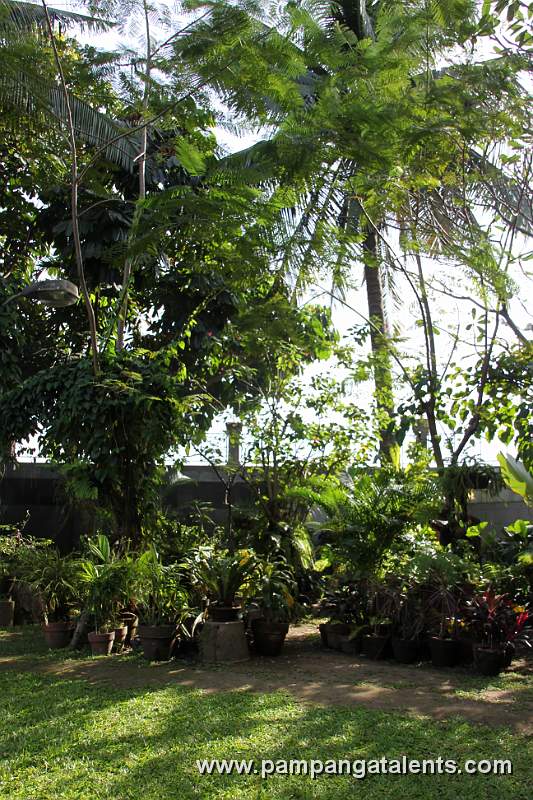 Garden of Puerta Real