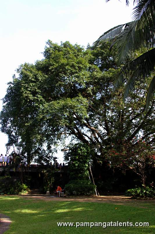 Garden of Puerta Real