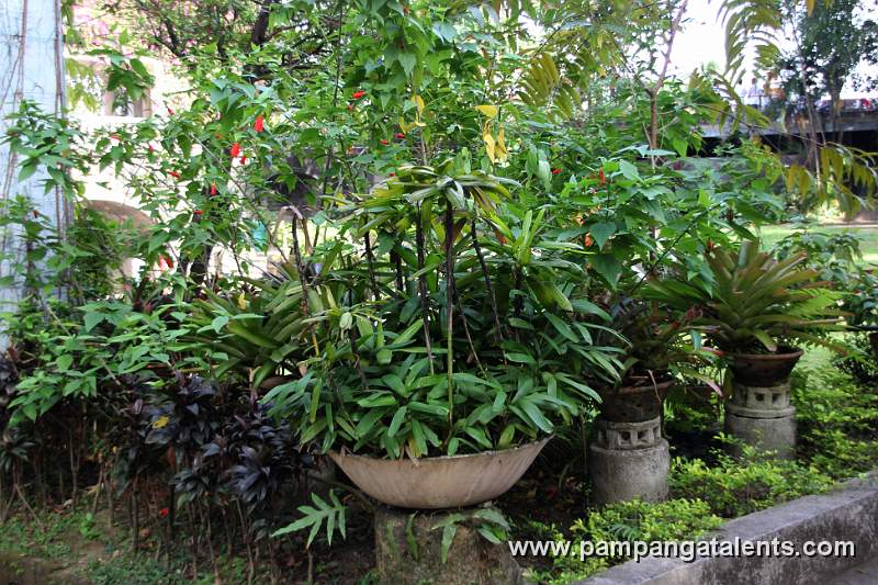 Garden of Puerta Real