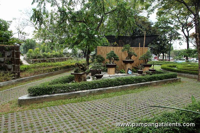 Bonsai Plants Display in Hardin ng Mga bulaklak in Overview of Landscape with Orchids Flower Accent in Quezon Memorial Circle in Quezon City.