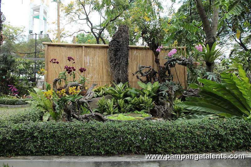 Overview of Landscape with Orchids Flower Accent in Quezon Memorial Circle in Quezon City.