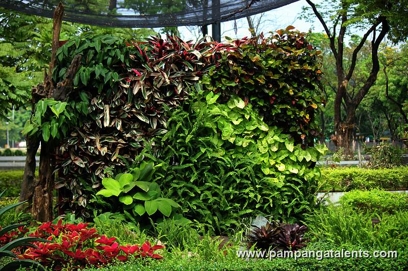 Form of Landsacpe in Flower Garden of Quezon Memorial Circle.