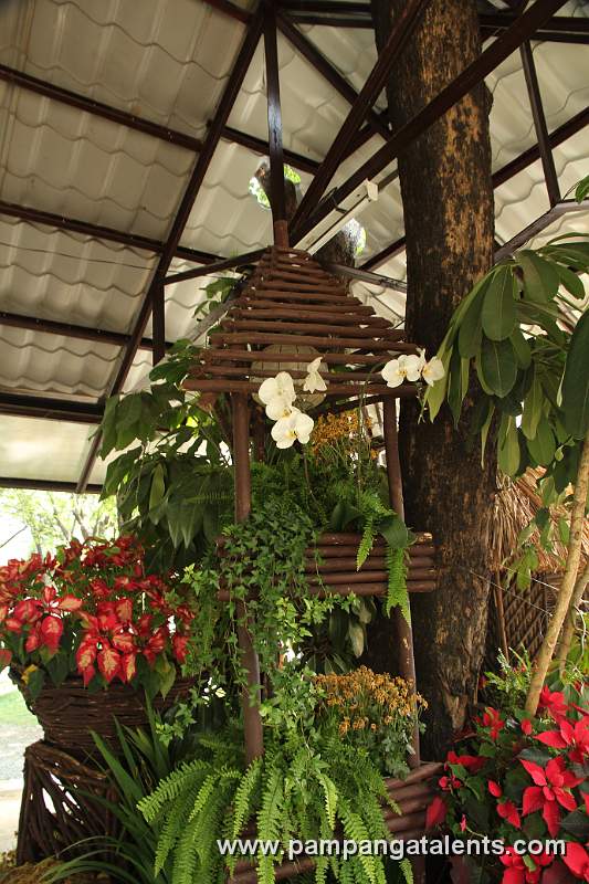 Tropical Plants and Flowers in Poinsettia flower