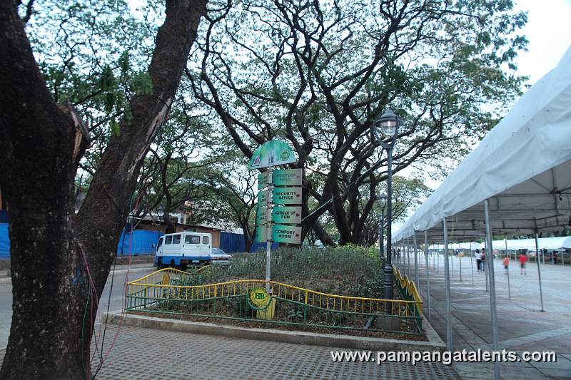 Directional Sign with Old Acacia Tree in Backgound Located at the Flea Market Area in Quezon Memorial Circle.