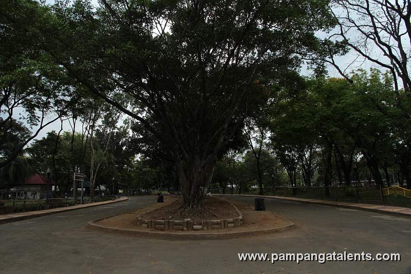 Road Island in Quezon Memorial Circle.