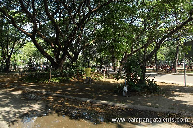 Sweeper in Quezon Memorial Circle Park Garden in Quezon City.