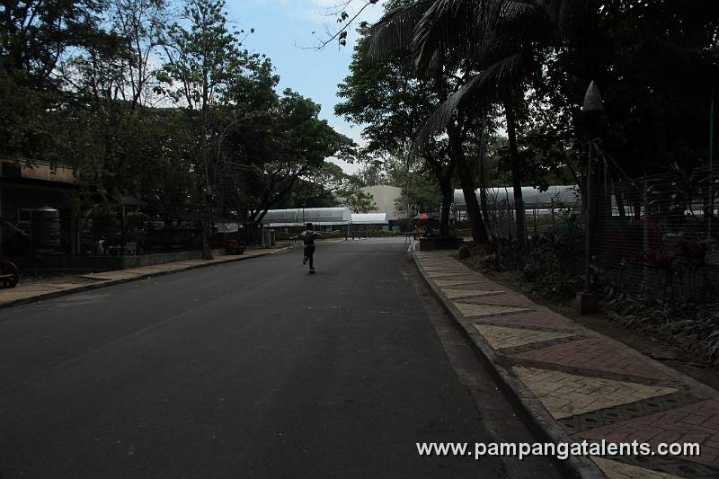 Skateboard Rider on Quezon Memorial Circle Lane