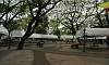 Tent Shaded Picnic Area in Quezon Memorial Circle in Quezon City.  Location: Quezon Memorial Circle - Manila Philippines