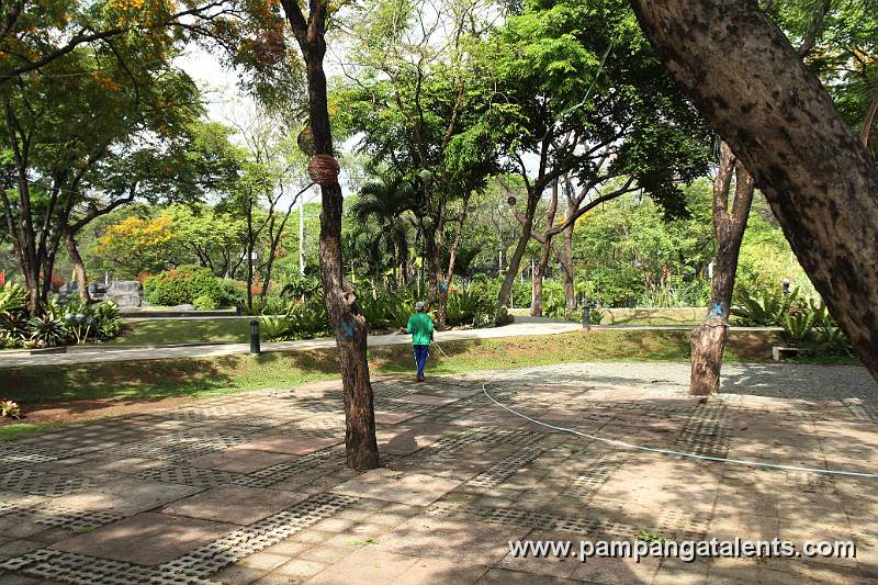 Garden Maintenance in Tropical Garden inside the Queson Memorial Park