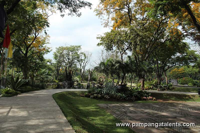 Assorted Tropical Trees and Shrubs inside the Tropical Garden