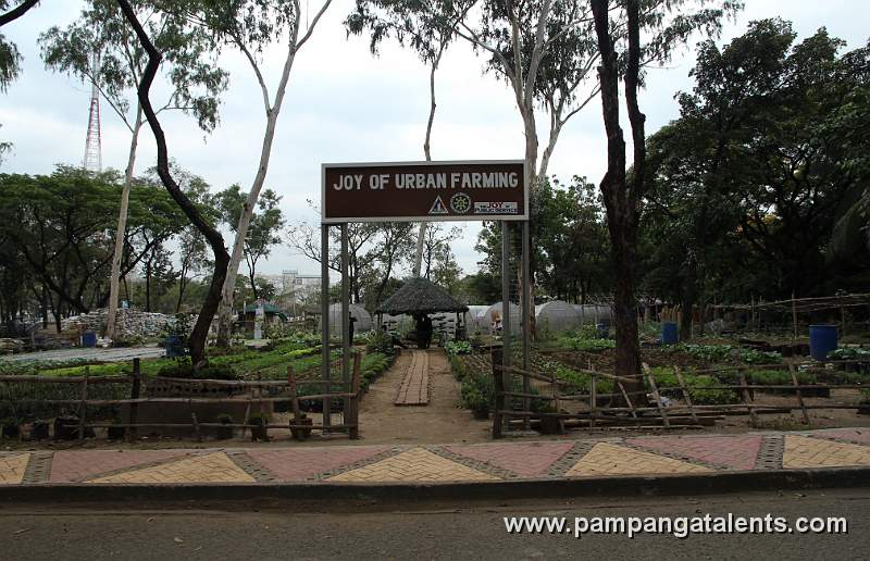 The Joy of Urban Farming Garden in Quezon Memorial Circle.