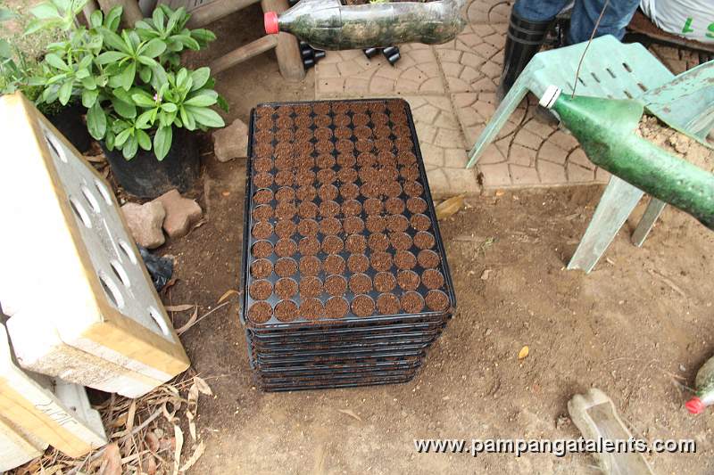 Seedling Tray with Fertilized Soil used in Joy of Urban Farming Garden found in Quezon Memorial Circle.