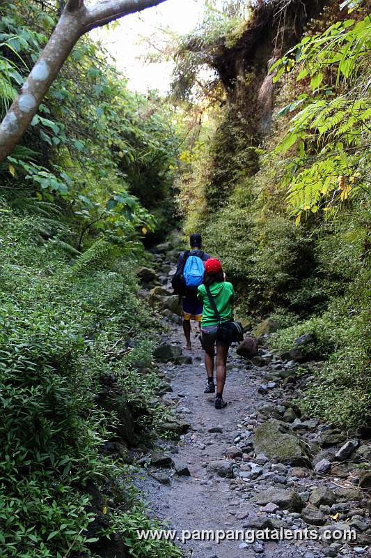 Path to Mt. Pinatubo