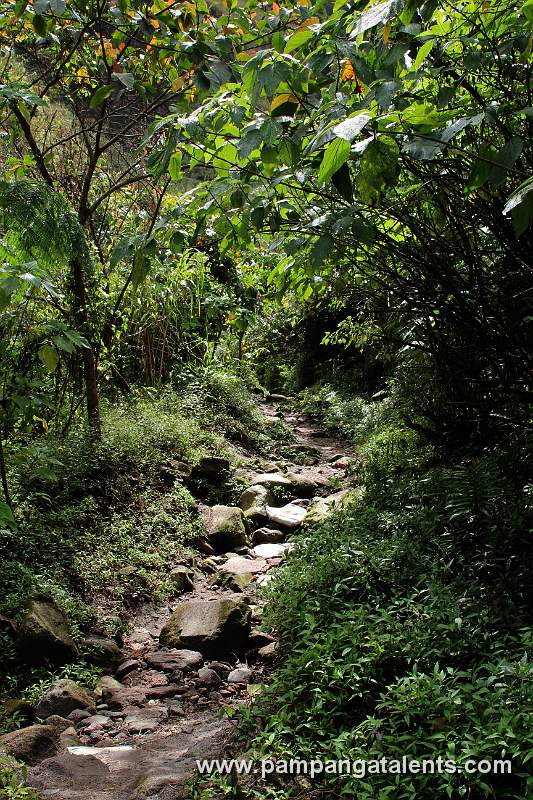 Mt. Pinatubo Path