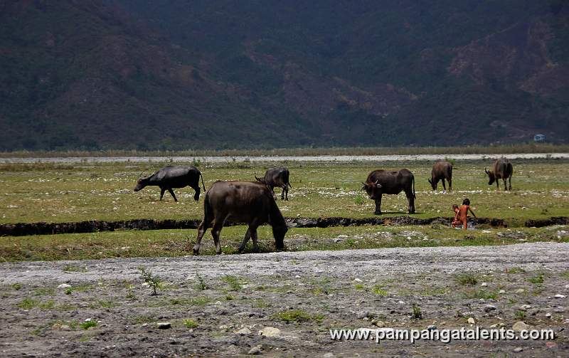 Mt. Pinatubo Valley