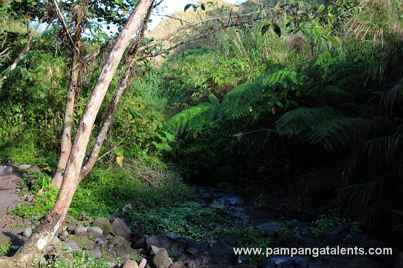 Mt. Pinatubo Trekking