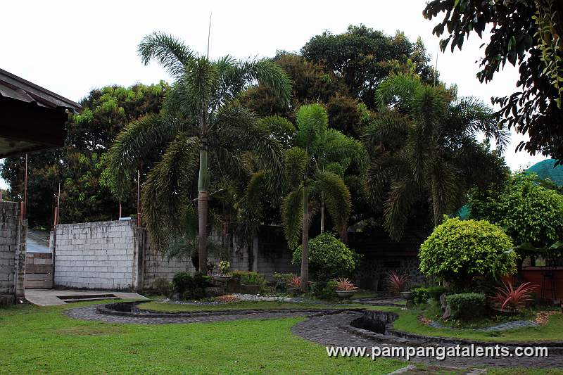 Garden (Mt. Pinatubo Trip Registrations Office)