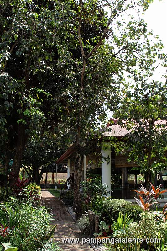 Garden (Mt. Pinatubo Trip Registrations Office)