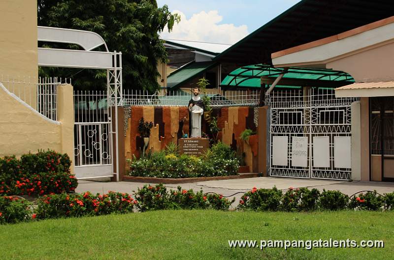 Holy Image of St. Dominic