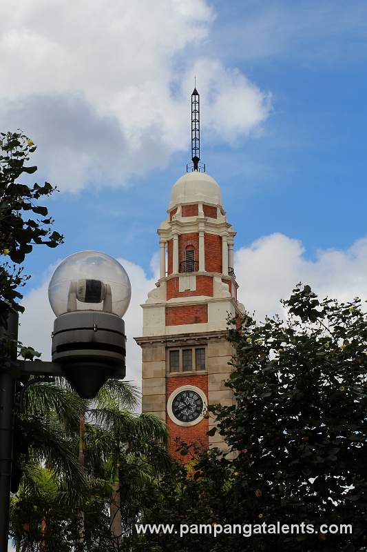 Clock Tower between the trees