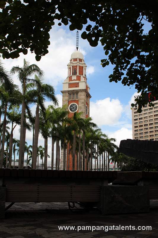 Clock Tower between trees and palms
