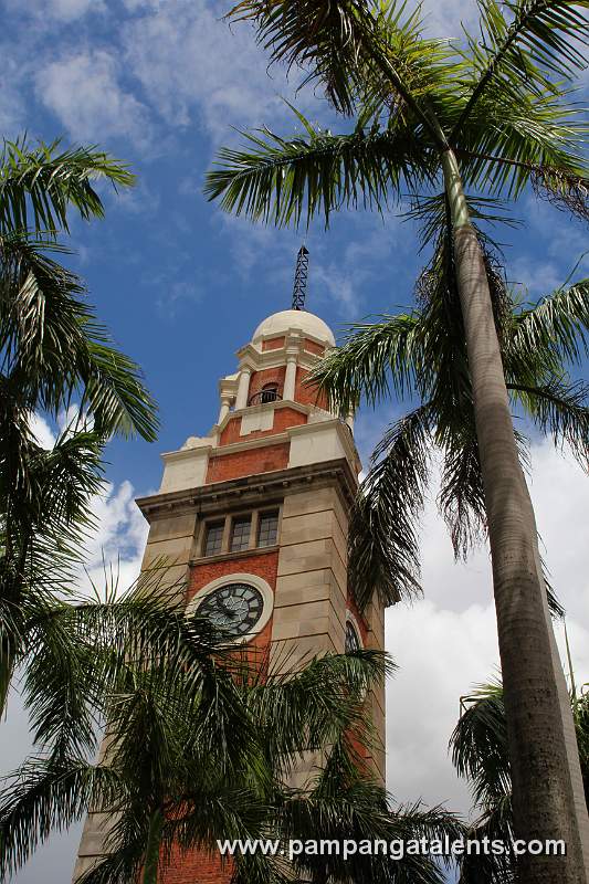 Clock Tower between the palms trees