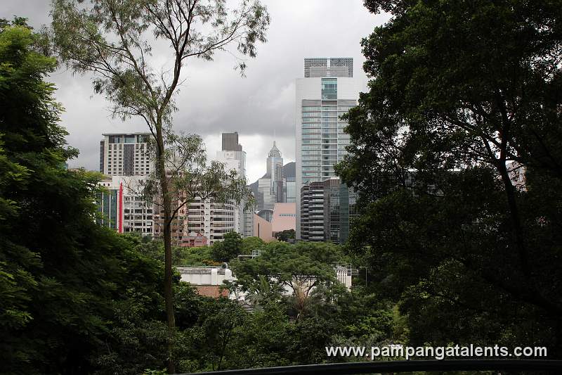 View on 