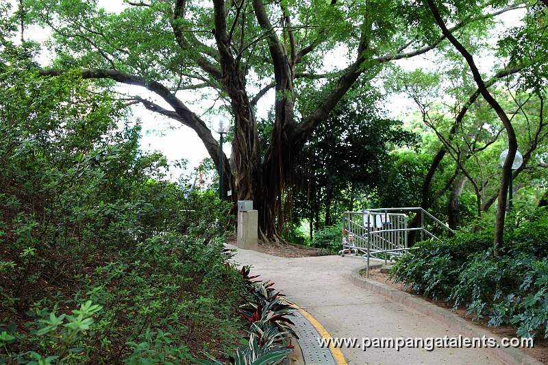 Walkway around 